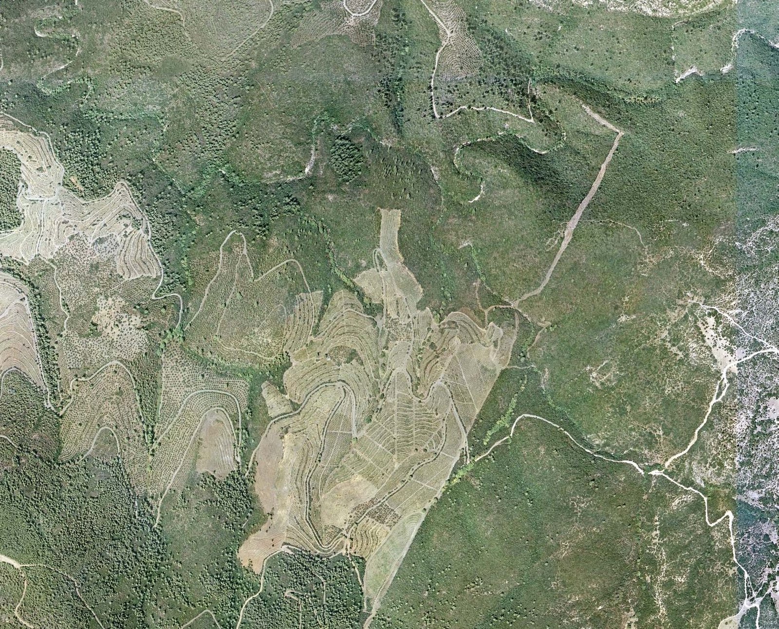 Aerial view of the northern ridge of the estate